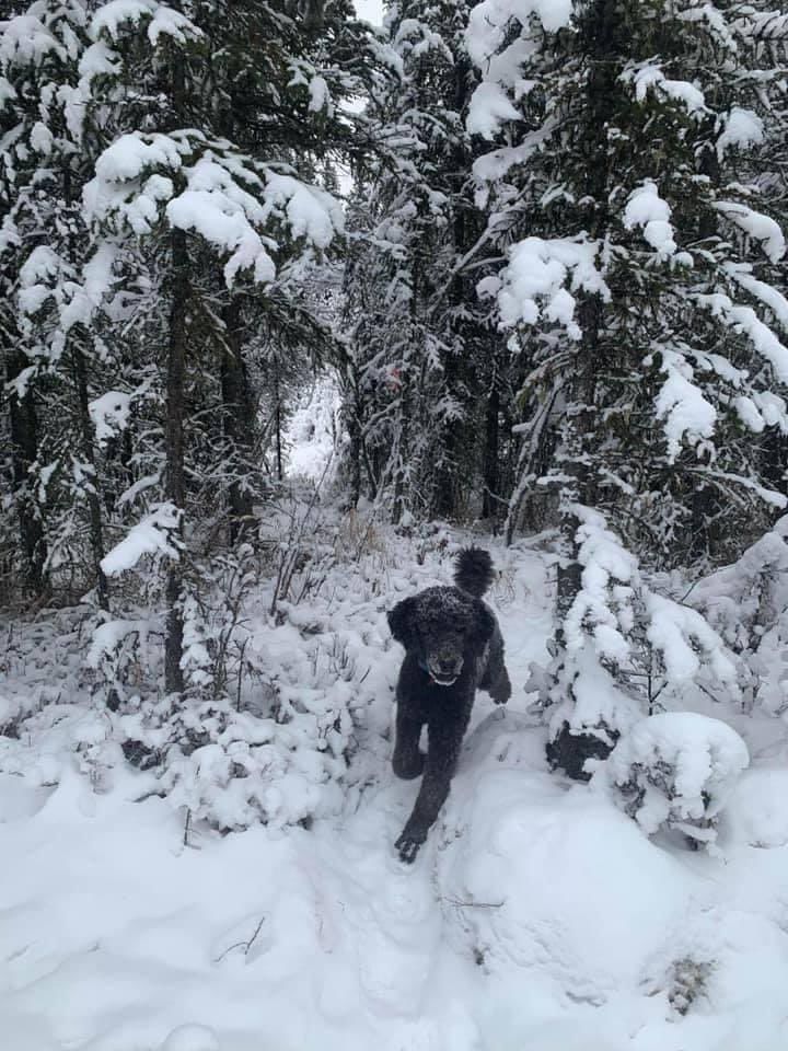 A man running into the snow